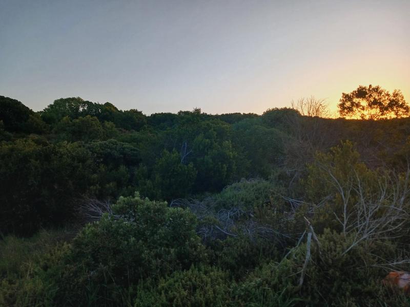 0 Bedroom Property for Sale in Kleinbaai Western Cape